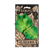 Kendall the Kale Teether