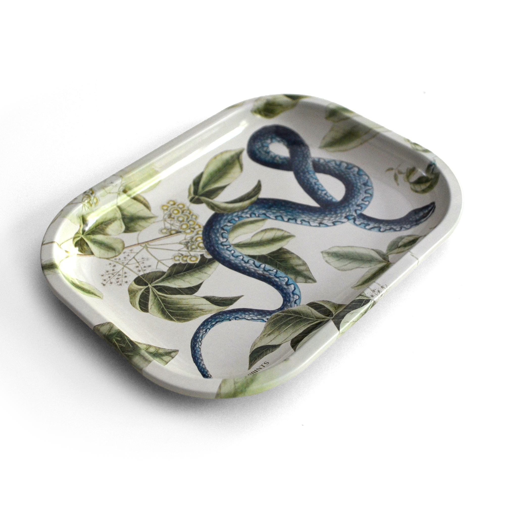 Blue Snake Catchall Tray