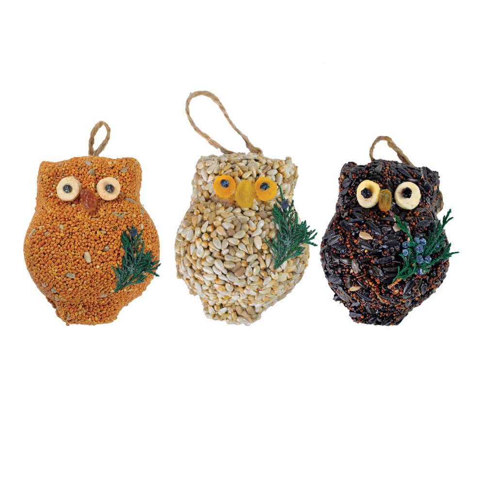 Ollie The Birdseed Owl