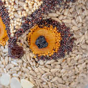 Whoo-lio Birdseed Owl