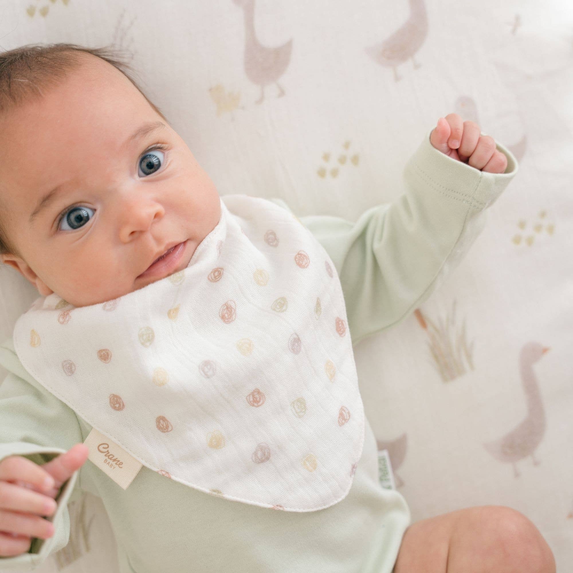Farmhouse Goose Muslin Bib Set