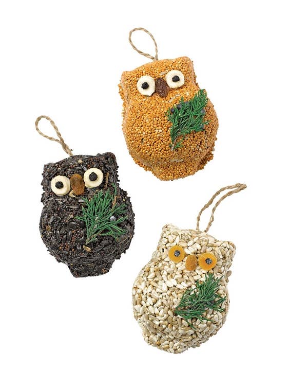 Ollie The Birdseed Owl