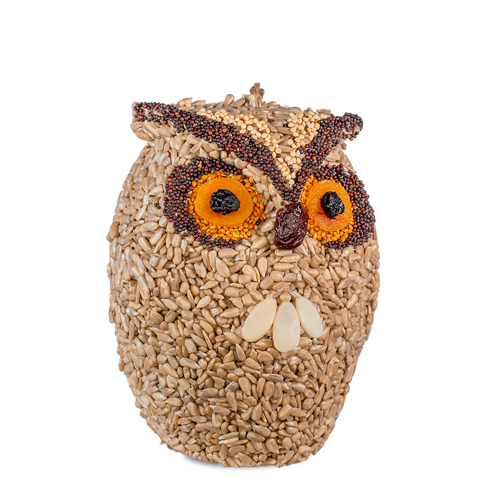 Whoo-lio Birdseed Owl