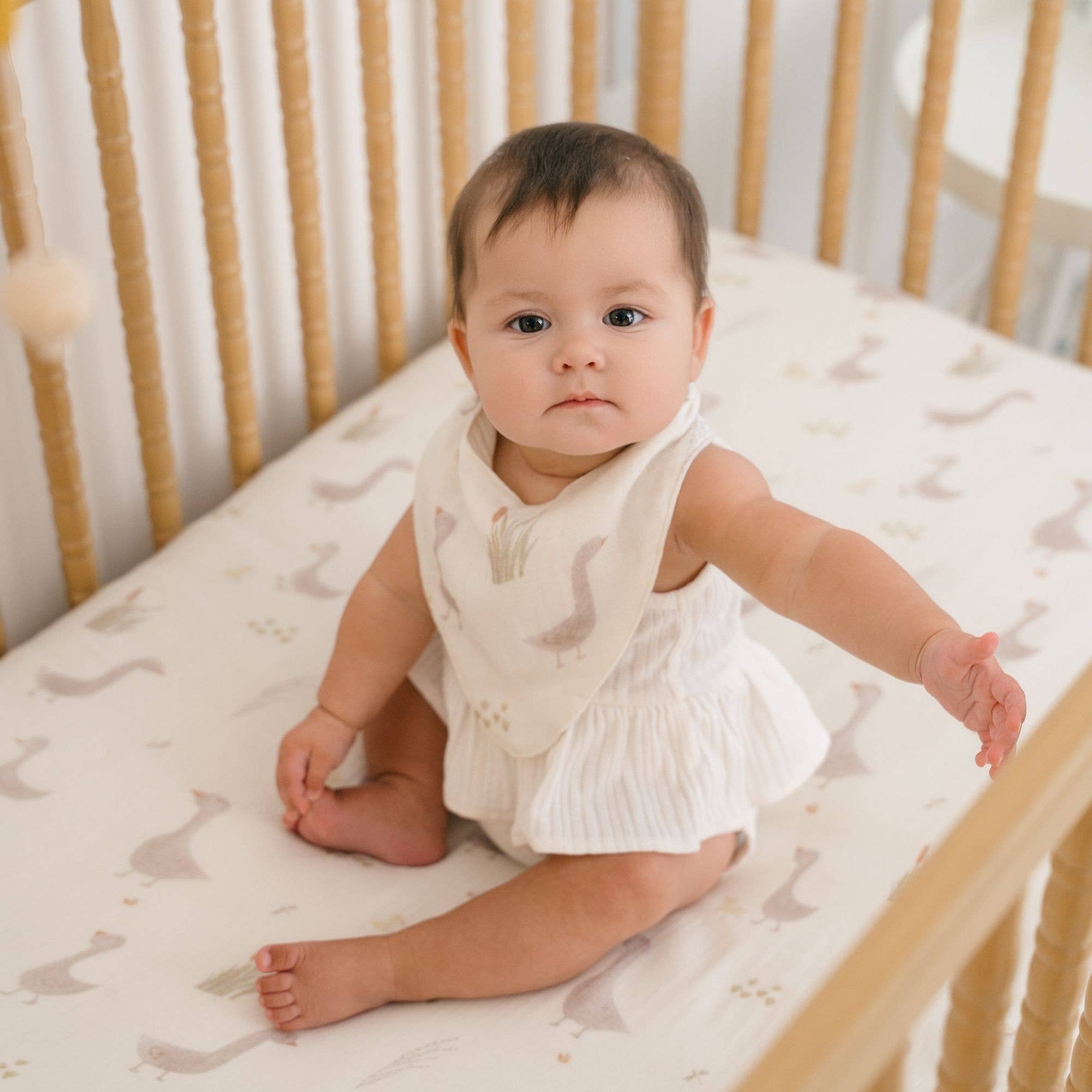 Farmhouse Goose Muslin Bib Set