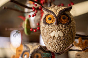 Whoo-lio Birdseed Owl