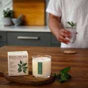Crushed Mint Plant the Box Candle