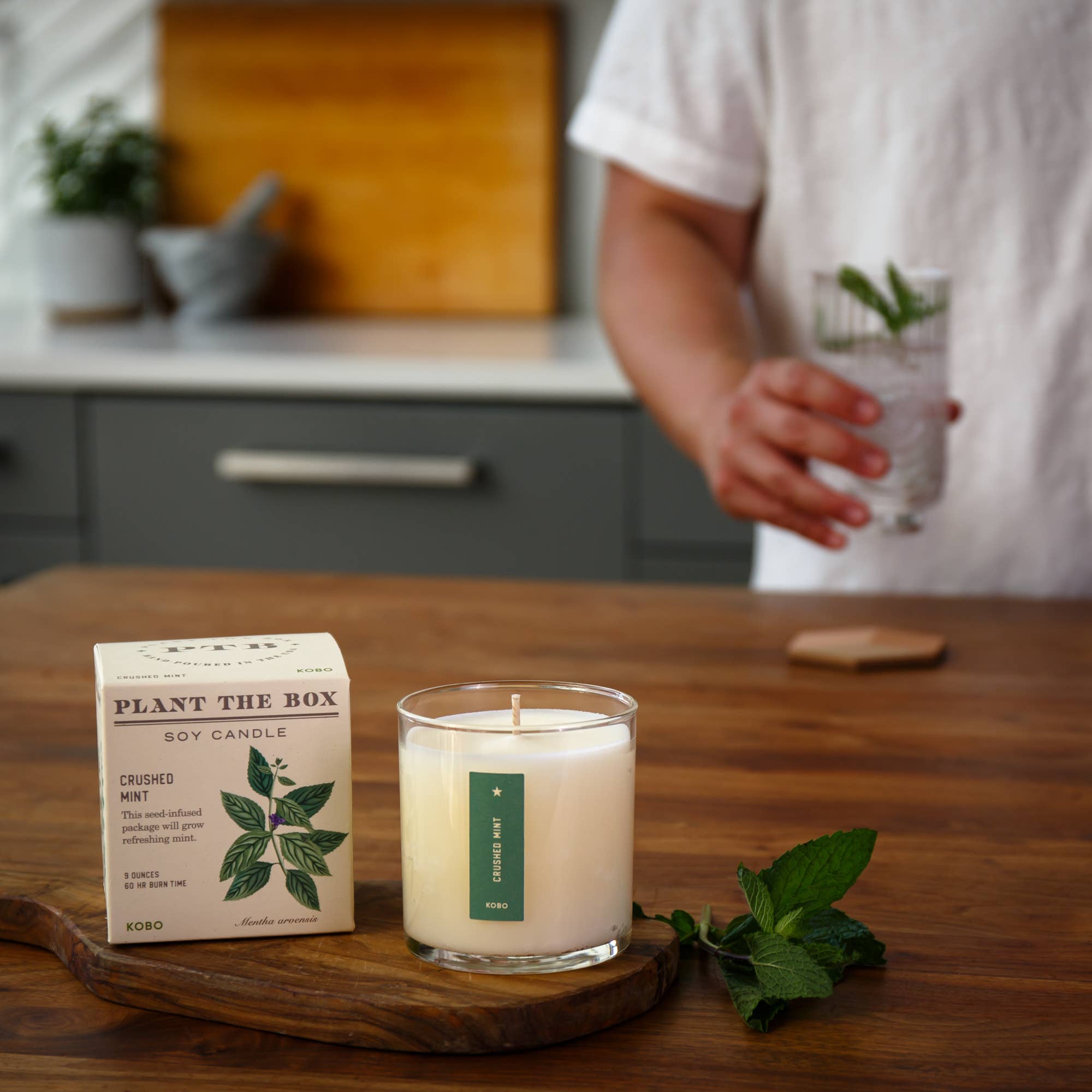 Crushed Mint Plant the Box Candle