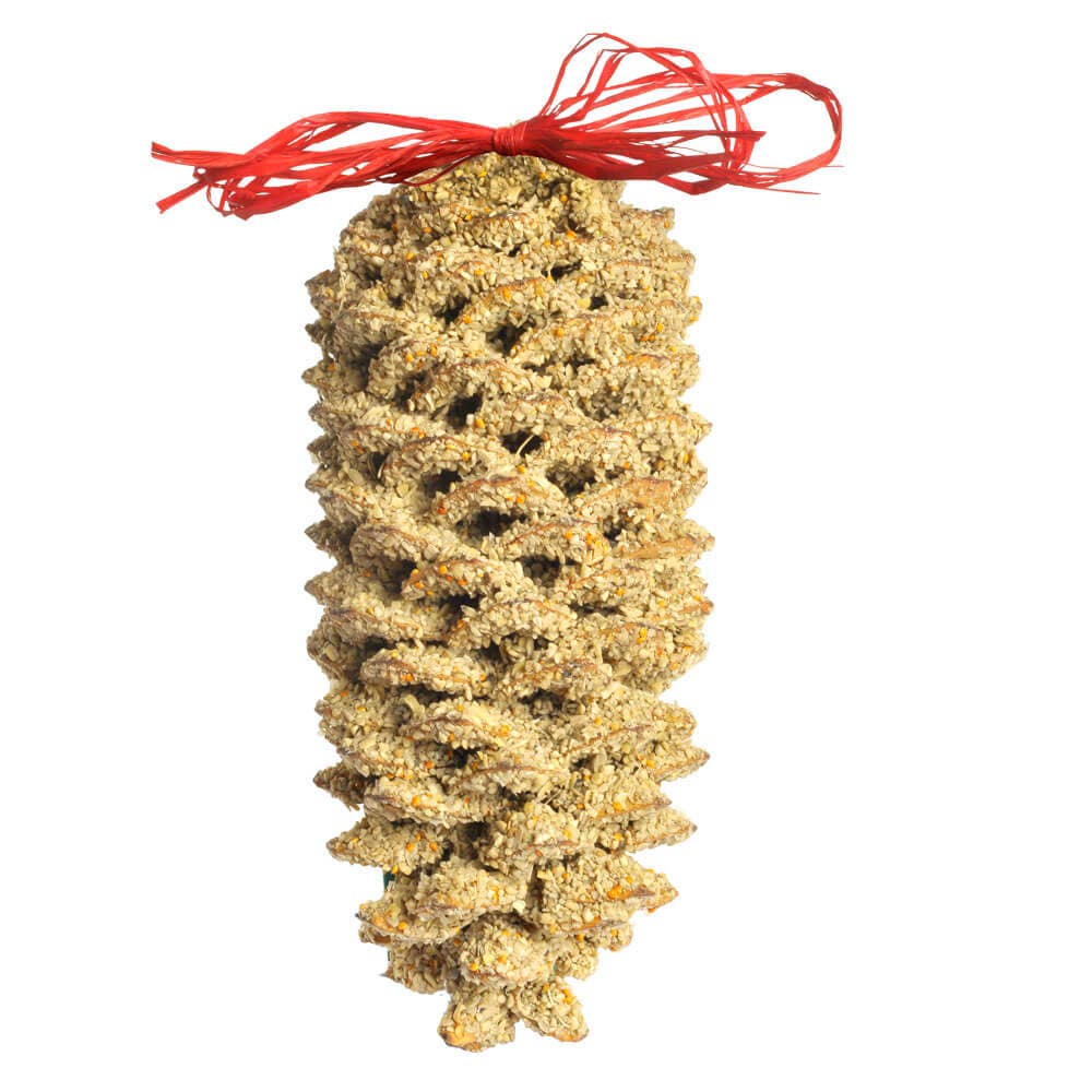 Giant Birdseed Pine Cone