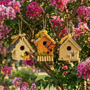 All Season Birdie Cottage