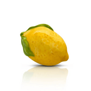Nora Fleming Mini | Lemon Squeeze