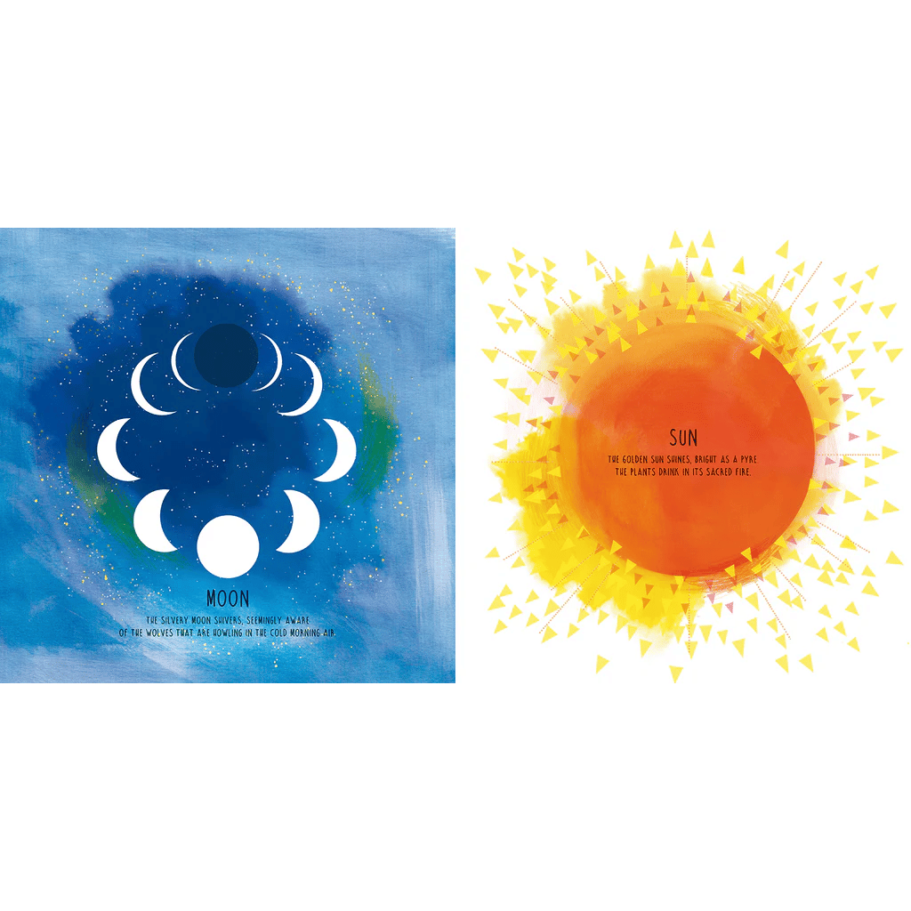 Opposites: The Opposing Forces of the Universe