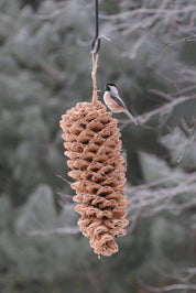 Giant Birdseed Pine Cone