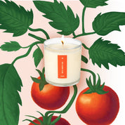 Wild Tomato Vine Plant the Box Candle