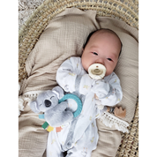 Ritzy Koala Rattle Pal™