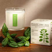 Fresh Picked Basil Plant the Box Candle
