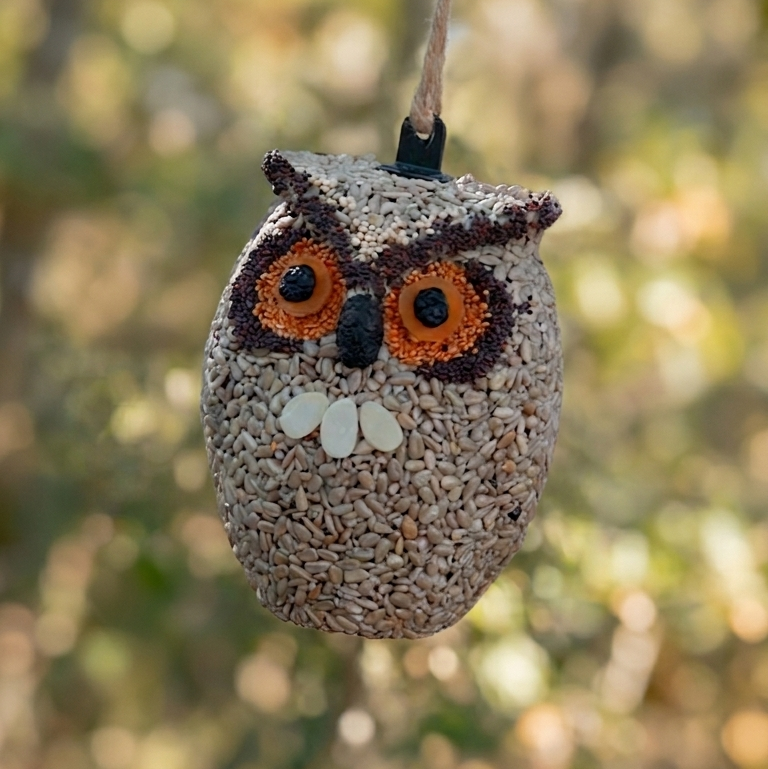 Whoo-lio Birdseed Owl