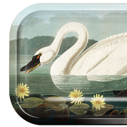 Audubon Swan Catchall Tray