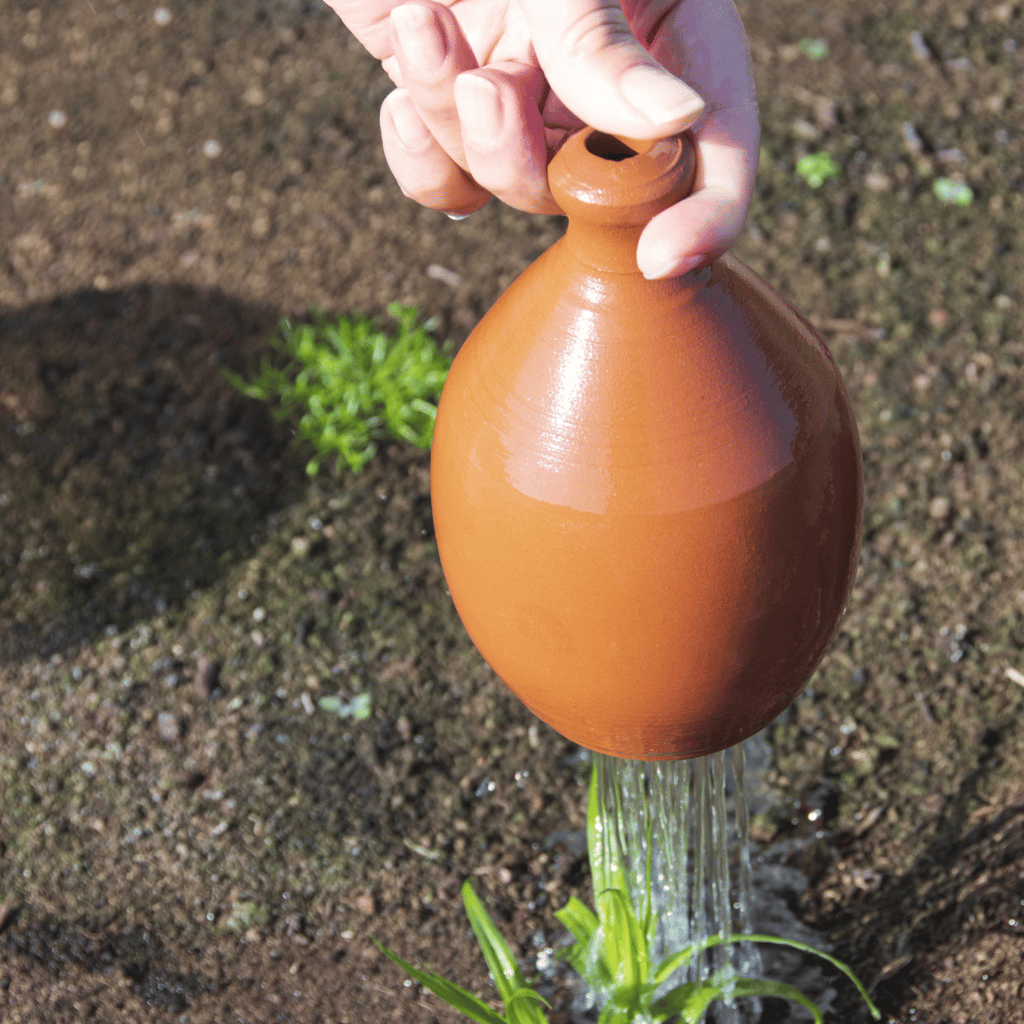 Terracotta Thumb Watering Can