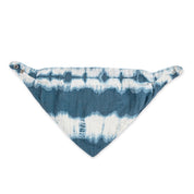 Caspian Muslin Bib Set