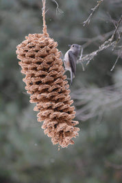 Giant Birdseed Pine Cone